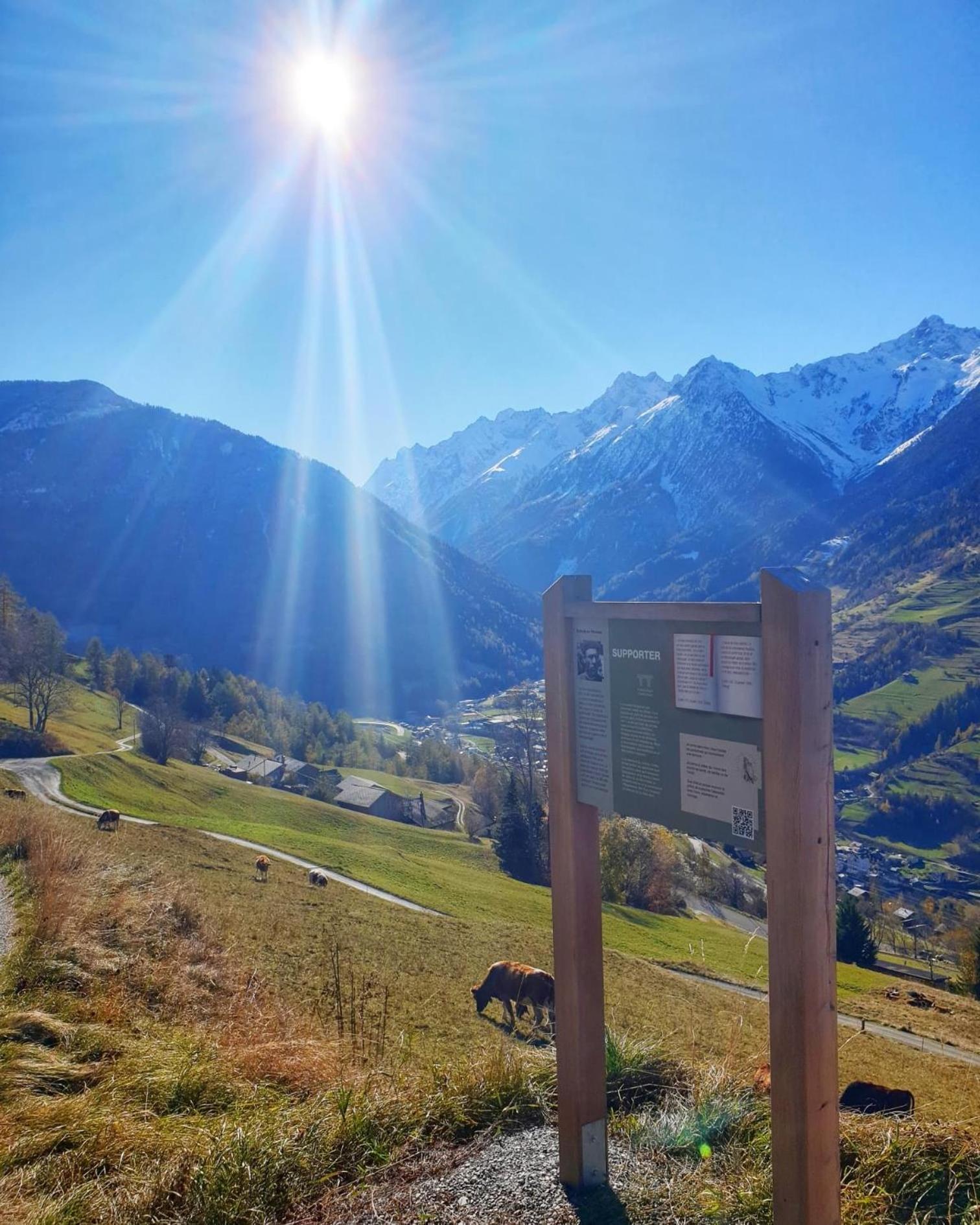 Gite Du Pelerin-Chalet De Montagne ออร์ซิแยร์ ภายนอก รูปภาพ